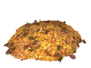 Image showing Oak tree leaves