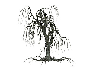 Image showing Creepy tree