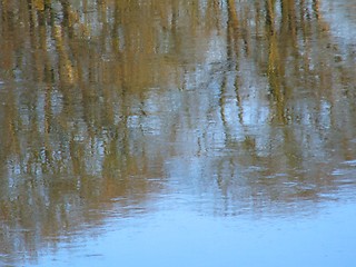 Image showing Water reflections