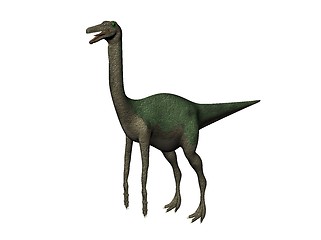 Image showing Gallimimus