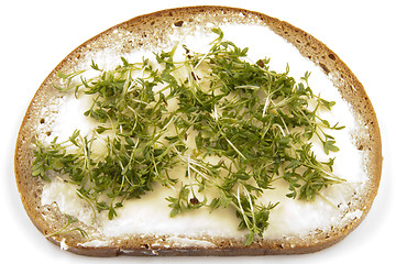 Image showing Cress on bread