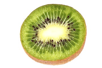 Image showing Kiwi