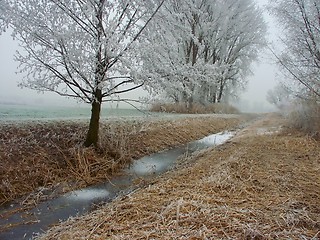 Image showing Winter