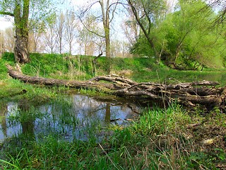 Image showing Nature Reserve