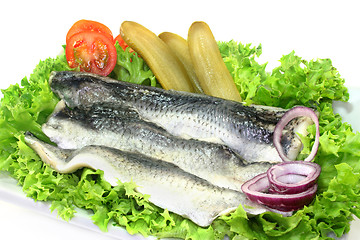 Image showing marinated herring