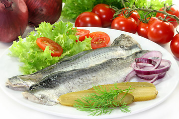 Image showing marinated herring