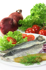 Image showing marinated herring