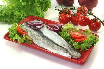 Image showing Herring