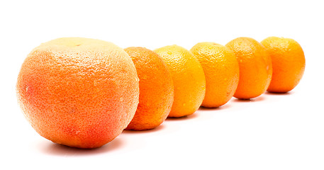 Image showing Row of oranges