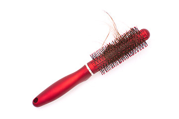 Image showing Hairbrush with tangled hair