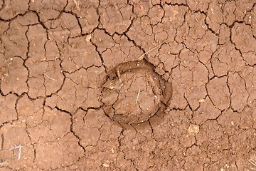 Image showing Horseshoe footprint in cracked ground in drought