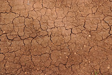 Image showing Cracked ground in drought texture