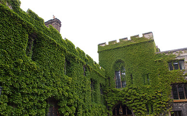 Image showing Westminster Abbey