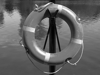 Image showing Lifebuoy