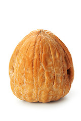 Image showing The walnut 