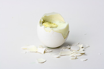 Image showing White egg