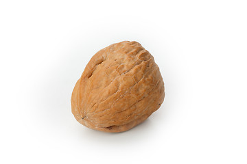 Image showing The walnut 