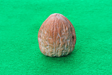 Image showing The walnut 