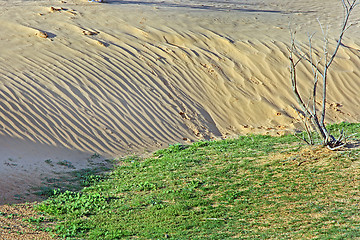 Image showing The spring in the desert