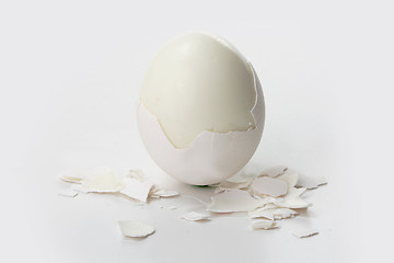 Image showing White egg