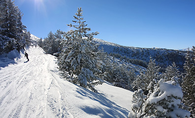 Image showing Snowboarding in Bulgaria. Ski resort Borovets 