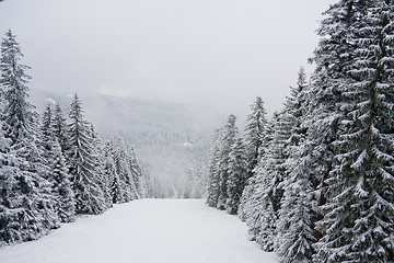 Image showing Winter snow landscape in the Rila mountain, Bulgaria, in cloudy 