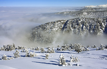 Image showing Rila mountains in Borovets, Bulgaria