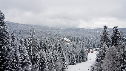 Image showing Winter snow landscape in the Rila mountain, Bulgaria, in cloudy 