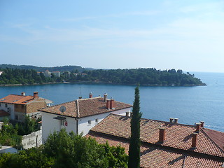 Image showing View of seafront of Rovinj