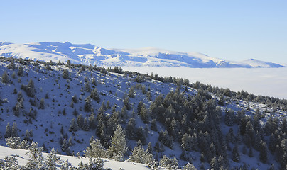 Image showing Rila mountains in Borovets, Bulgaria