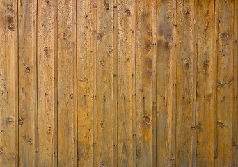 Image showing Old wooden plank background with nails