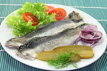 Image showing marinated herring