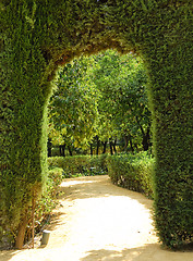 Image showing Garden of the Royal Alcazar in Seville, Spain