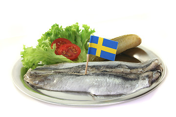 Image showing Herring