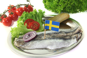 Image showing Herring