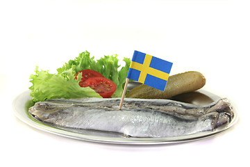 Image showing Herring