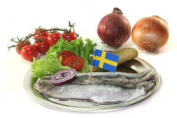 Image showing Herring