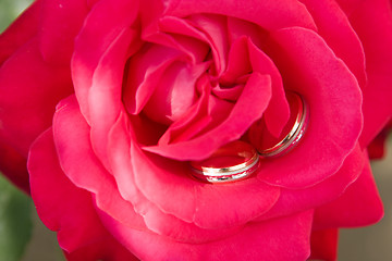 Image showing Two gold wedding rings with pink rose