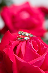 Image showing Two gold wedding rings with pink rose