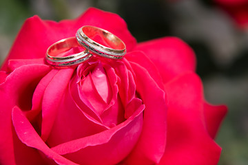 Image showing Two gold wedding rings with pink rose