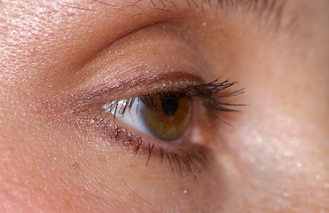 Image showing Eye 1