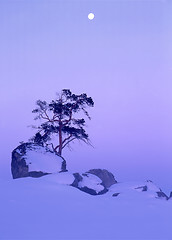 Image showing Winter landscape