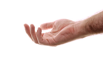 Image showing male hand and forearm isolated on white