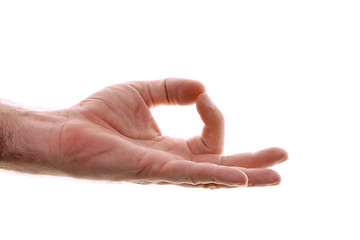 Image showing yogic gyan hand position isolated on white