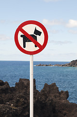 Image showing No dogs allowed sign