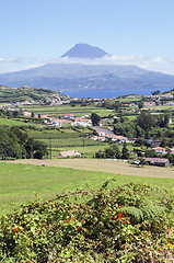 Image showing Landscape of Faial, Azores