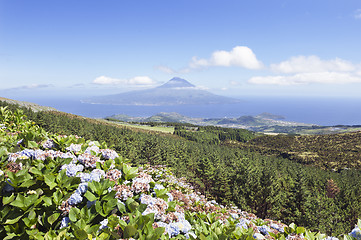 Image showing Landscape of Faial, Azores