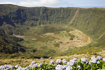 Image showing Inside of Caldeira volcano in Faial, Azores