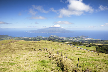 Image showing Landscape in Faial, Azores