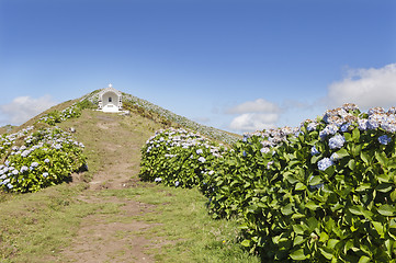 Image showing Shrine in Faial, Azores